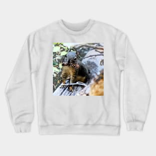 Squirrelly Snack Time Crewneck Sweatshirt